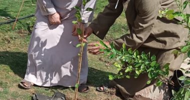 المبادرة الرئاسية "100 مليون شجرة" تواصل أعمالها بالوحدات المحلية في المنوفية