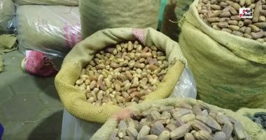 معرض الساحل المفتوح للتمور.. جولة داخل أشهر أسواق "فاكهة رمضان" فى مصر