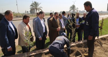 وصول 225 ألف شجرة مثمرة وزراعة أول شجرة برافد الطريق الدولى بكفر الشيخ.. صور