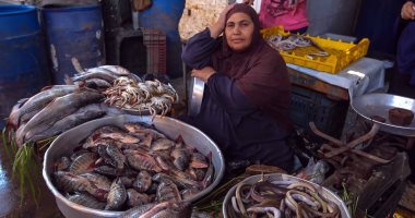 أسعار الأسماك اليوم تسجل فى خامس أيام رمضان 68 جنيها للبلطى بسوق الجملة