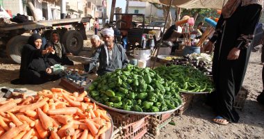 أسعار الخضراوات اليوم فى مصر تواصل استقرارها
