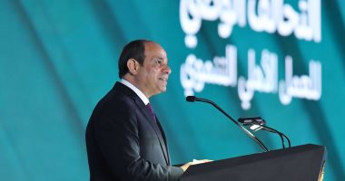 الرئيس السيسي: "حاولوا يخوفوا المصريين واللى شوفوته ده رد طبيعى وقدرة حقيقية أن نتحرك للأمام"