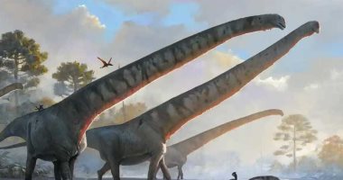 الكشف عن الديناصور صاحب أطول رقبة.. وزنه عشرات الأطنان