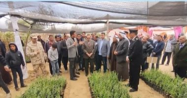 توزيع 10 آلاف شتلة لوز مجانا على المزارعين فى شمال سيناء