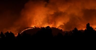 حريق كبير يدمر آلاف الأفدنة فى غابات إسبانيا.. فيديو