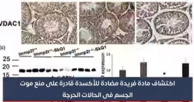 اكتشاف مادة قادرة على منع الموت فى الحالات الحرجة