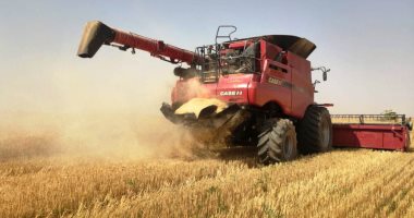 "زراعة الشيوخ": قرار زيادة سعر توريد القمح يضمن زيادة الإنتاج فى الموسم الجديد