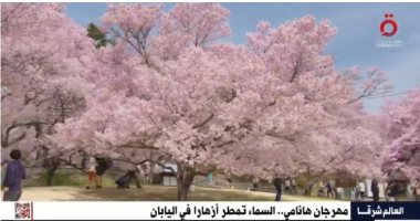 القاهرة الإخبارية تعرض تقريرا عن مهرجان "هانامي" لمشاهدة الزهور