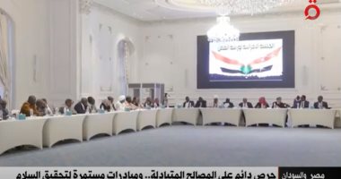 "القاهرة الإخبارية": مصر والسودان.. حرص دائم على المصالح المتبادلة بين البلدين