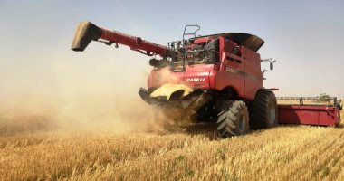 صفى الدين متولى لـ"إكسترا نيوز": أتوقع تراجع أسعار القمح عالميا 30%