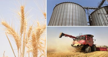وكيل وزارة الزراعة فى جنوب سيناء: غدا بدء توريد القمح إلى الصوامع