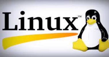 روسيا تتوقع أن تنتقل 99% من مؤسساتها الحكومية إلى نظام التشغيل "Linux"
