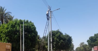 تغيير أسلاك الأعمدة الكهربائية بقرية الشغب على الطريق السريع بإسنا.. صور