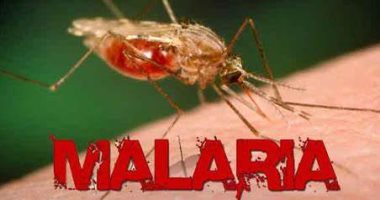 لأول مرة منذ 20 عاما.. أمريكا تسجل أولى الإصابات بالملاريا بفلوريدا وتكساس