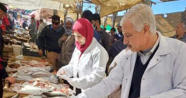 ضبط 3 أطنان أسماك ولحوم مخالفة بحملات تفتيشية فى الشرقية