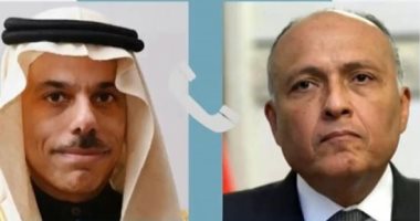 مصر تواصل جهودها الدبلوماسية من أجل استقرار السودان.. فيديو 