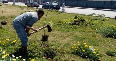 محافظ الإسكندرية: زراعة 97456 شجرة منذ بدء تنفيذ المبادرة بنطاق الأحياء