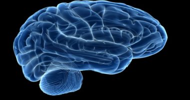 كيف تؤثر التهابات اللثة على صحة الدماغ؟