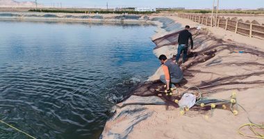 لزيادة إنتاج الثروة السمكية.. قصة مشروع تطوير بحيرة مريوط بالإسكندرية.. فيديو