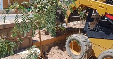 زراعة أشجار مثمرة بقرى ومراكز أسوان ضمن مبادرة "100 مليون شجرة".. صور