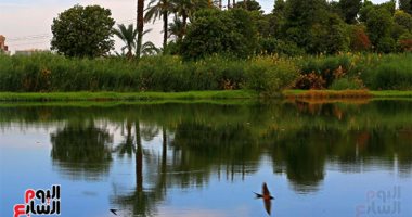 ضلّة جنب نيلها تسوى ألف قصر.. مصر الحلوة جمال ولا الخيال