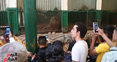 مصر تشارك فى مؤتمر الاتحاد الأفريقي لحدائق الحيوان بجنوب أفريقيا 