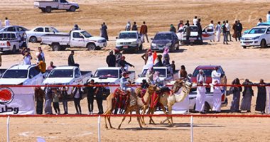احتفالات الذكرى الـ41 لتحرير سيناء.. انطلاق فعاليات سباق الهجن على أرض الفيروز