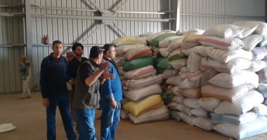 رئيس مدينة أشمون يتابع بدء أعمال توريد القمح
