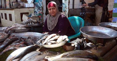 شعبة الأسماك: استقرار أسعار سمك البلطى عند 69 جنيها للكيلو