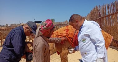 "‫الزراعة" تختتم أعمال القافلة البيطرية المجانية بمحافظة شمال سيناء