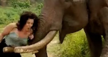 فيل بغابة هندية يهاجم امرأة بعنف بعد أن استفزته.. فيديو