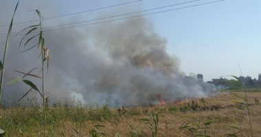 الحماية المدنية تسيطر على حريق في زراعات قمح بكفر الشيخ