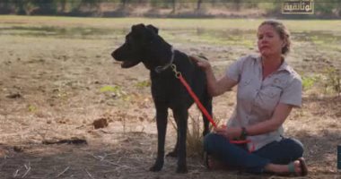 قناة الوثائقية تعرض فيلما بعنوان "كلاب فوق العادة"