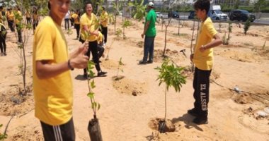 البيئة: مبادرة "100 مليون شجرة" تضاعف نصيب الفرد من المساحات الخضراء