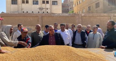 توريد 60 ألف طن من محصول القمح بالشون والصوامع الحكومية بمراكز المنيا