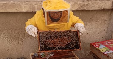 مليون نحلة لإنتاج عسل النحل بزراعة بورسعيد.. فيديو وصور