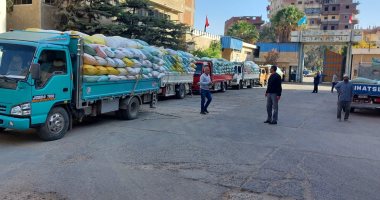 توريد 43945 طن و 692 كجم قمح لـ22 موقعا بكفر الشيخ