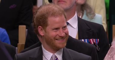 الأمير هارى يظهر مبتسما فى حفل تتويج الملك تشارلز.. فيديو