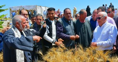 تموين بورسعيد: زيادة توريد القمح من المزارعين بإجمالى 5300 طن