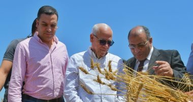 زراعة بورسعيد: حصاد 6500 فدان من محصول القمح ومتابعة مستمرة لأعمال التوريد