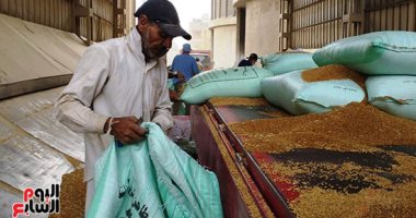 توريد 98% من محصول القمح المستهدف ببورسعيد.. اعرف التفاصيل