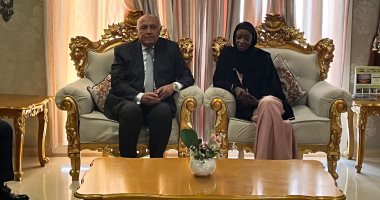 وزير الخارجية يصل العاصمة التشادية ندجامينا .. فيديو