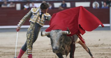 مواجهات ومغامرات.. فعاليات مصارعة الثيران فى إسبانيا