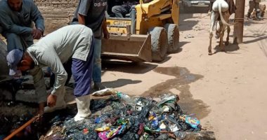 حملات مكثفة للنظافة والتشجير ورفع القمامة بمركز سنورس بالفيوم