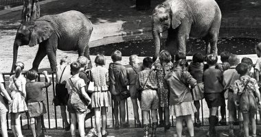 التنافس فى الحرب الباردة بين اثنين من حدائق الحيوان فى برلين.. اعرف الحكاية