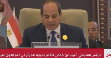 الرئيس السيسي: يجب الاعتماد على قدراتنا الذاتية لحل القضايا العربية
