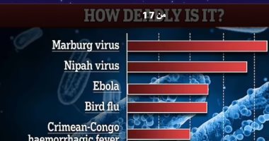 9 أوبئة تهدد العالم.. والعلماء قلقون بأن يصبح الوباء القادم قاب قوسين أو أدنى