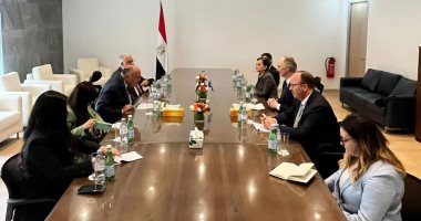 وزير الخارجية يؤكد حرص مصر  على رفع المعاناة عن الشعب السوري الشقيق  