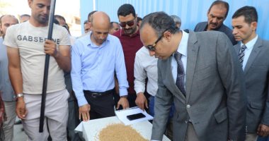 نائب محافظ المنيا: توريد 327 ألف طن من محصول القمح بشون وصوامع المحافظة