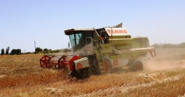 محافظ أسوان: توريد 118.9% من المستهدف لصوامع القمح